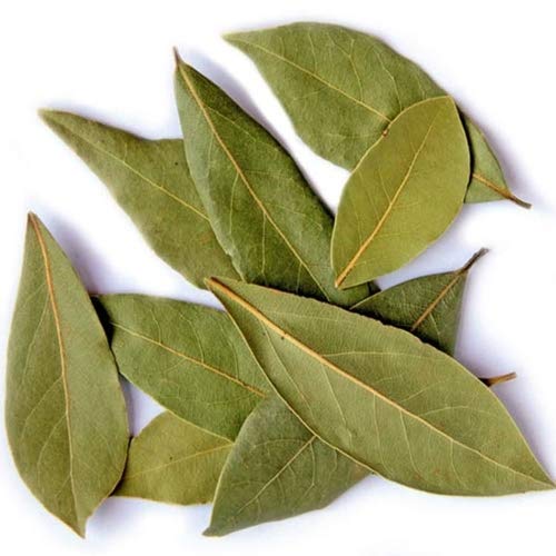 Tejpatta | Bay Leaf 